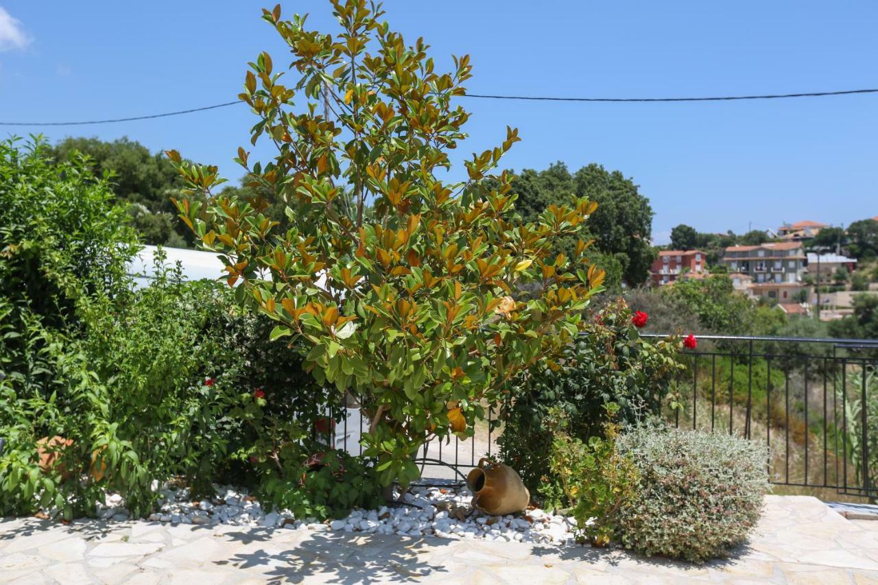 Pelagos Apartments Skala  Kültér fotó